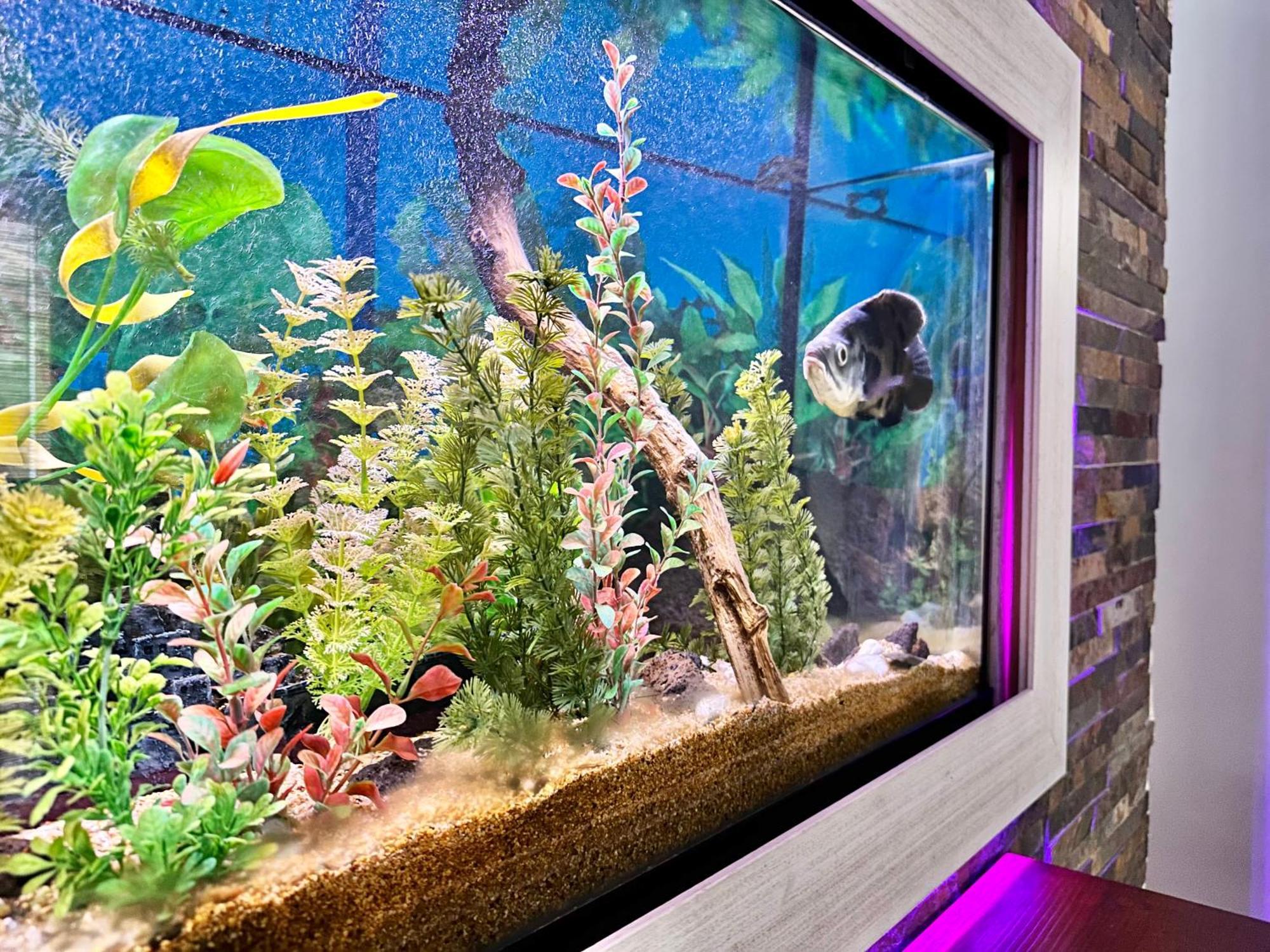 Sabino Street Apartment 산타크루스데 테네리페 외부 사진